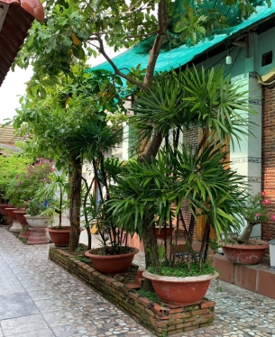 LỐI ĐI