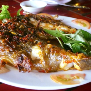 CÁ MẶT QUỶ 